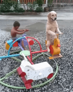 a5ca39b8a23c05e2cb8f4e3d7ab02a87_1581304335_0849.gif
