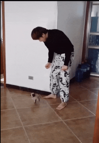 a5ca39b8a23c05e2cb8f4e3d7ab02a87_1581304386_5608.gif