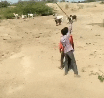 a5ca39b8a23c05e2cb8f4e3d7ab02a87_1581304413_5931.gif