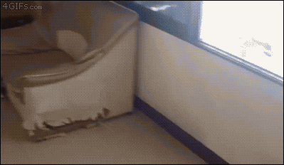a5ca39b8a23c05e2cb8f4e3d7ab02a87_1581304735_7019.gif